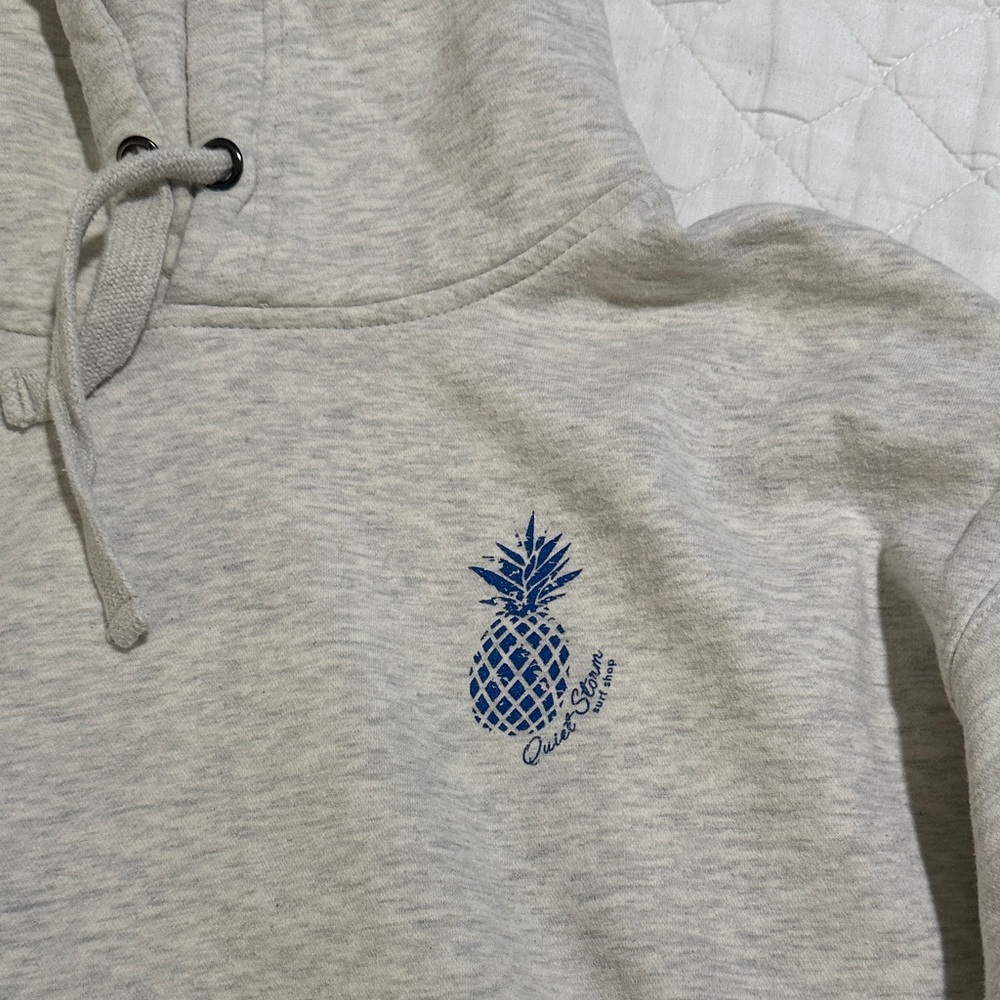 Quietstorm Gray Hoodie with Pineapple π - Picture 4 of 5